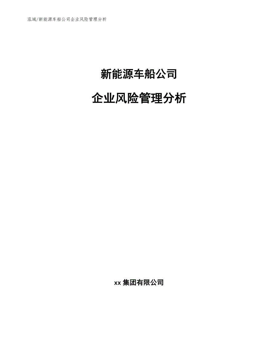 新能源车船公司企业风险管理分析【范文】_第1页