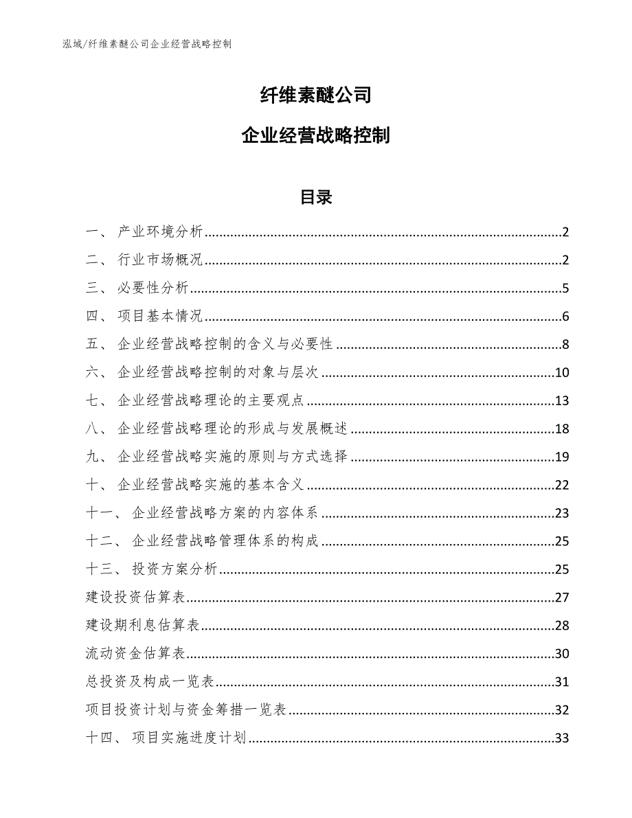 纤维素醚公司企业经营战略控制（参考）_第1页