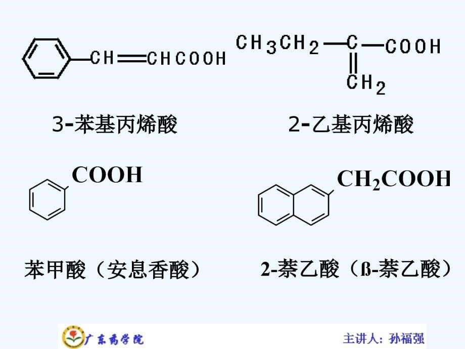 有机化学讲义--第十三章羧酸和取代羧酸课件_第5页