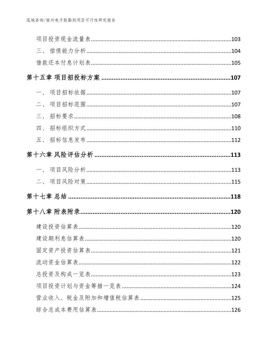 宿州电子胶黏剂项目可行性研究报告_第5页