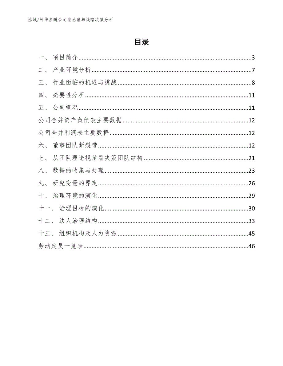 纤维素醚公司法治理与战略决策分析_第2页