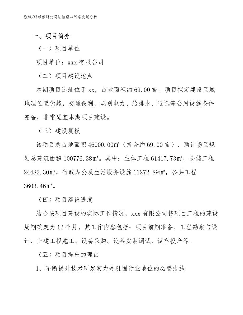 纤维素醚公司法治理与战略决策分析_第3页