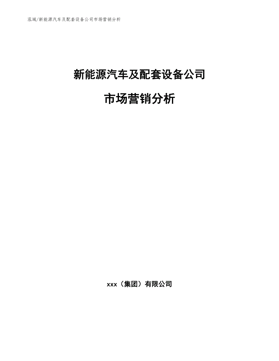 新能源汽车及配套设备公司市场营销分析（参考）_第1页