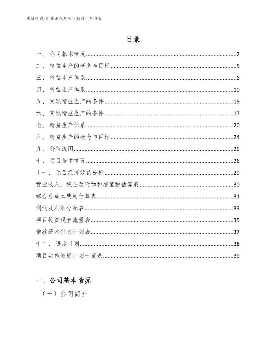 新能源汽车项目精益生产方案_范文_第2页