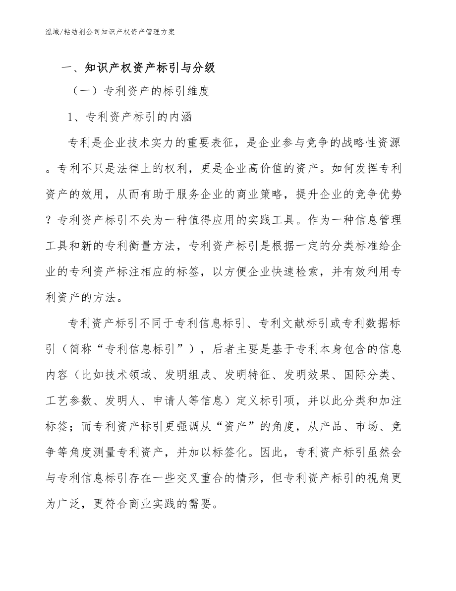 粘结剂公司知识产权资产管理方案_第2页