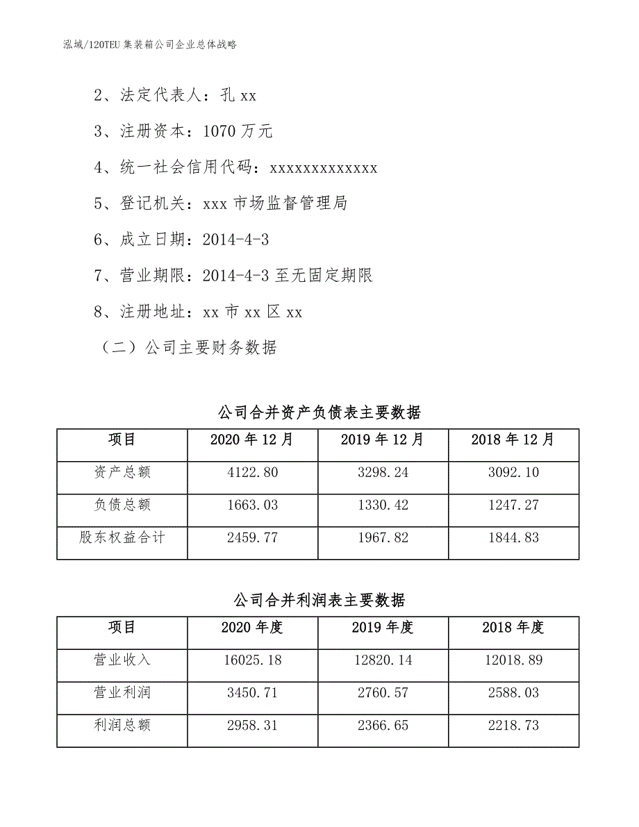 120TEU集装箱公司企业总体战略（范文）_第2页