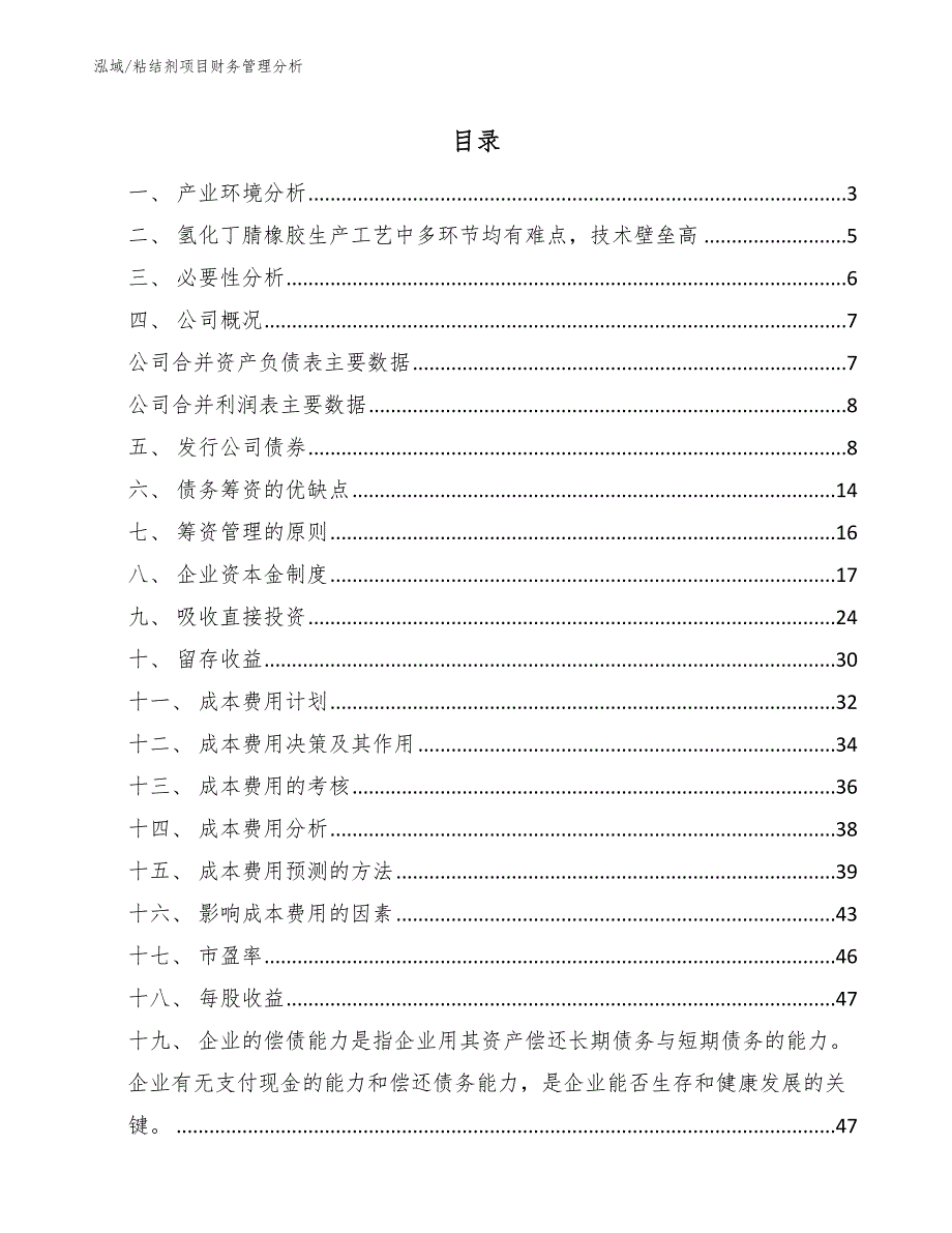 粘结剂项目财务管理分析_第2页