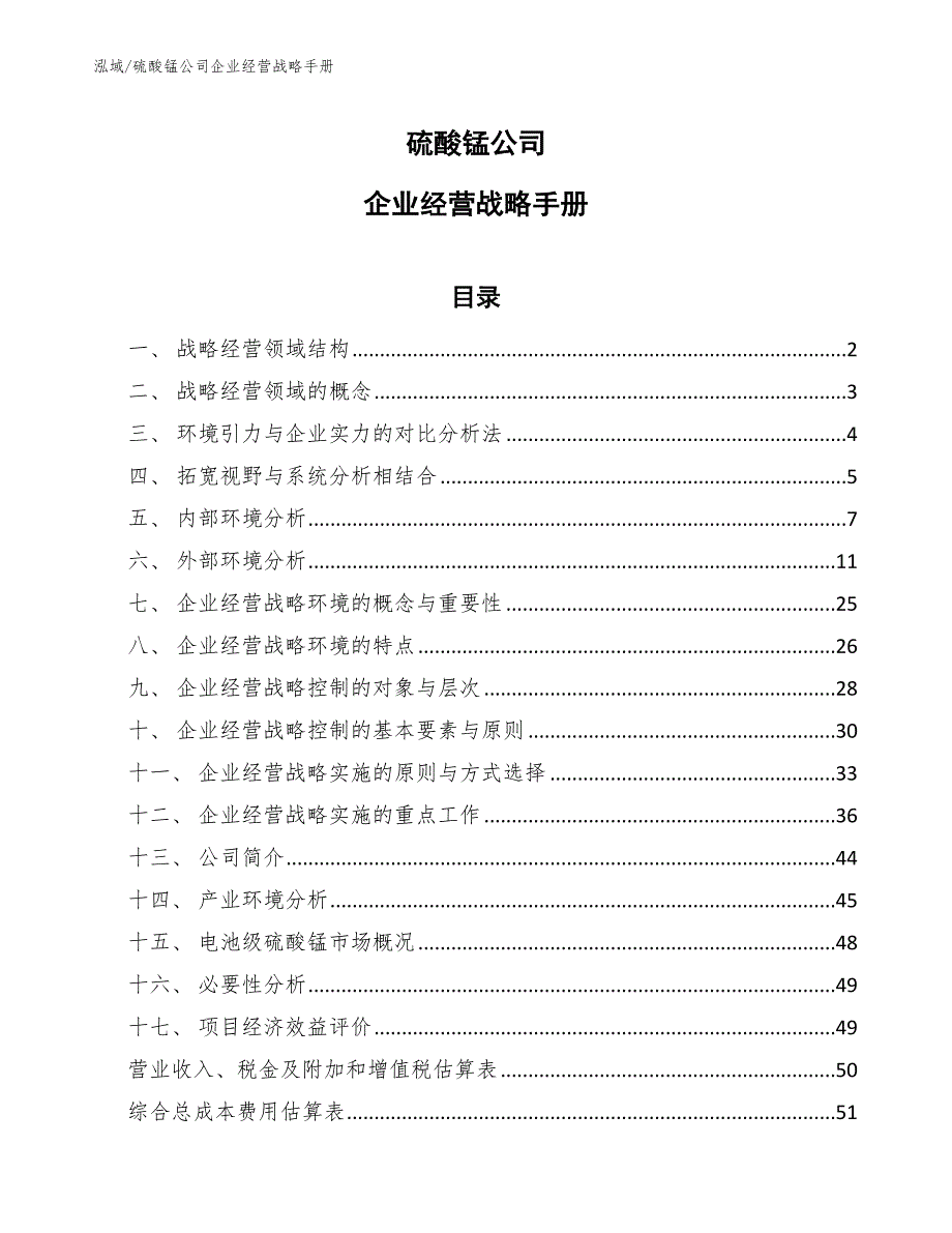 硫酸锰公司企业经营战略手册【参考】_第1页