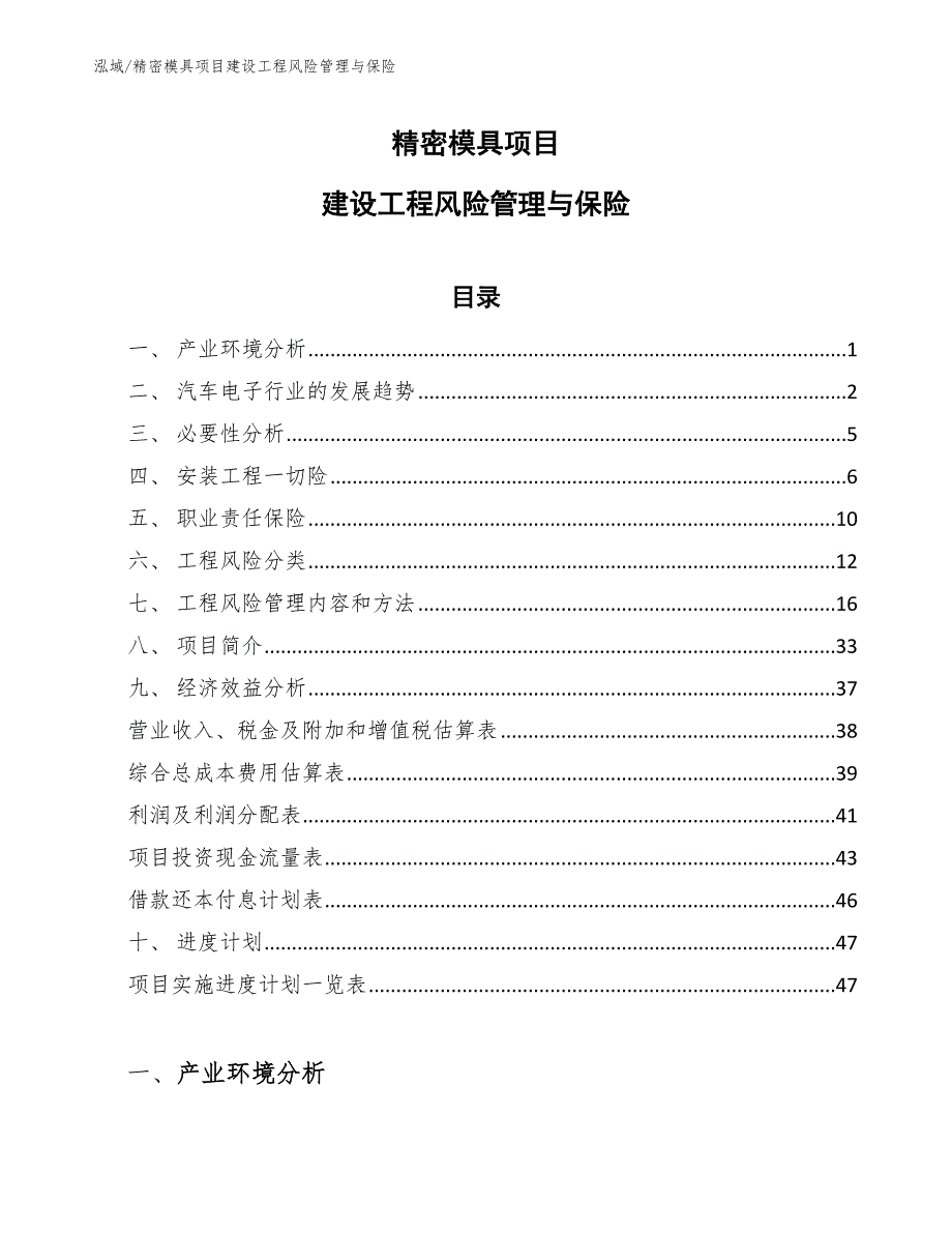 精密模具项目建设工程风险管理与保险【参考】_第1页