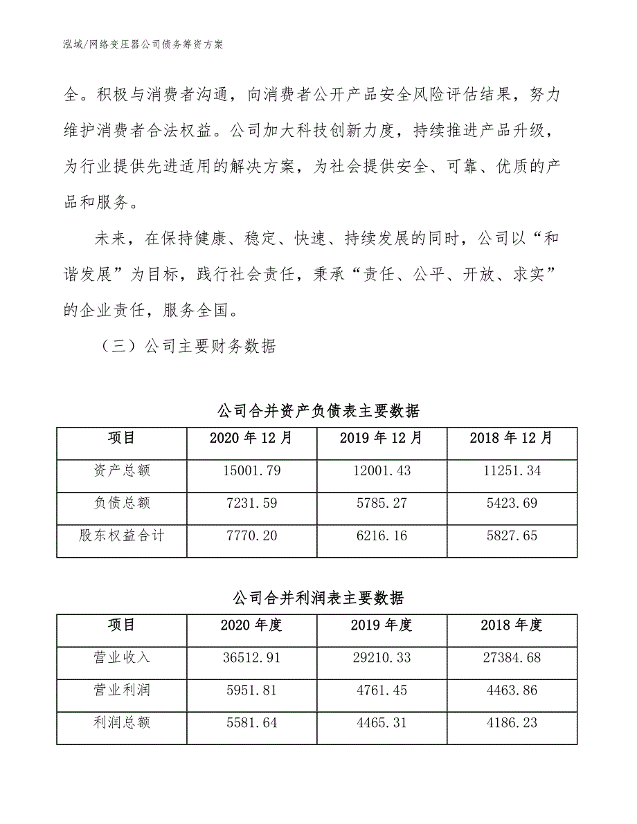 网络变压器公司债务筹资方案_范文_第3页