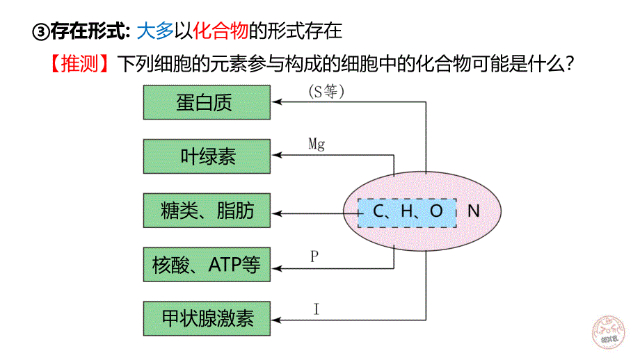 2023届高三生物一轮复习科技 第二章 组成细胞的分子_第4页