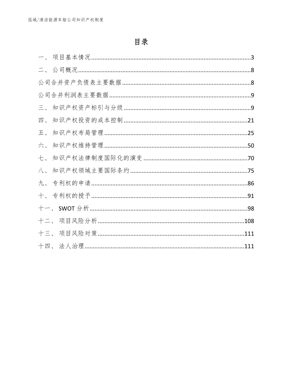 清洁能源车船公司知识产权制度_第2页