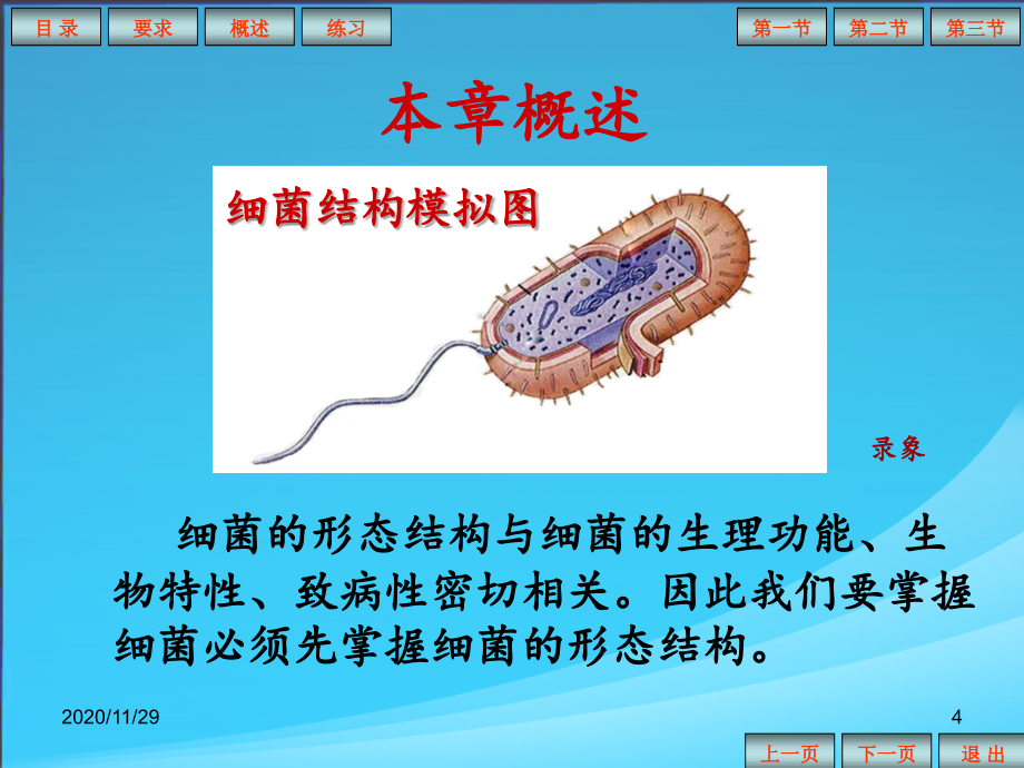 细菌的形态与结构-1-课件_第4页