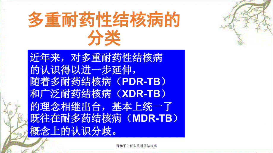 肖和平主任多重耐药结核病_第2页