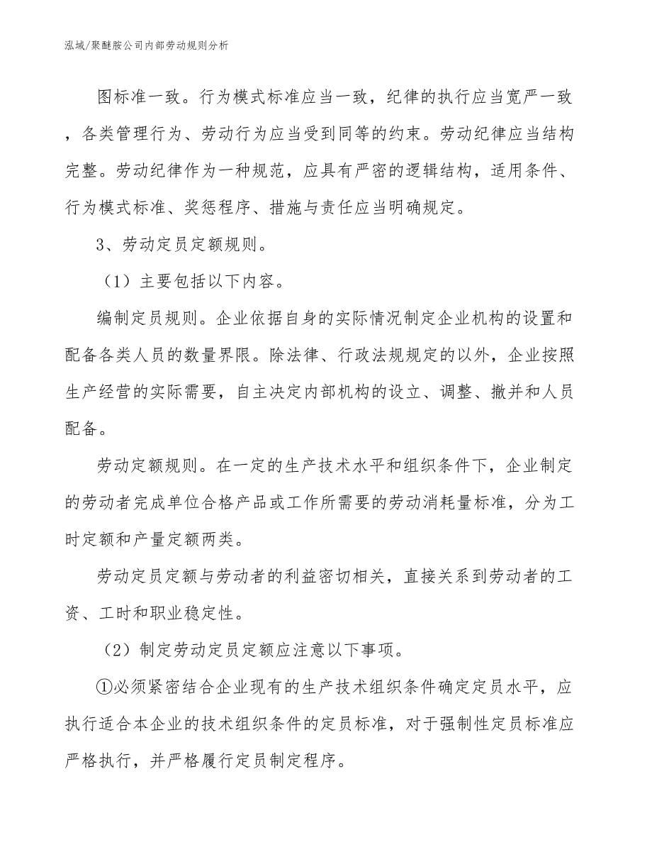 聚醚胺公司内部劳动规则分析_第5页