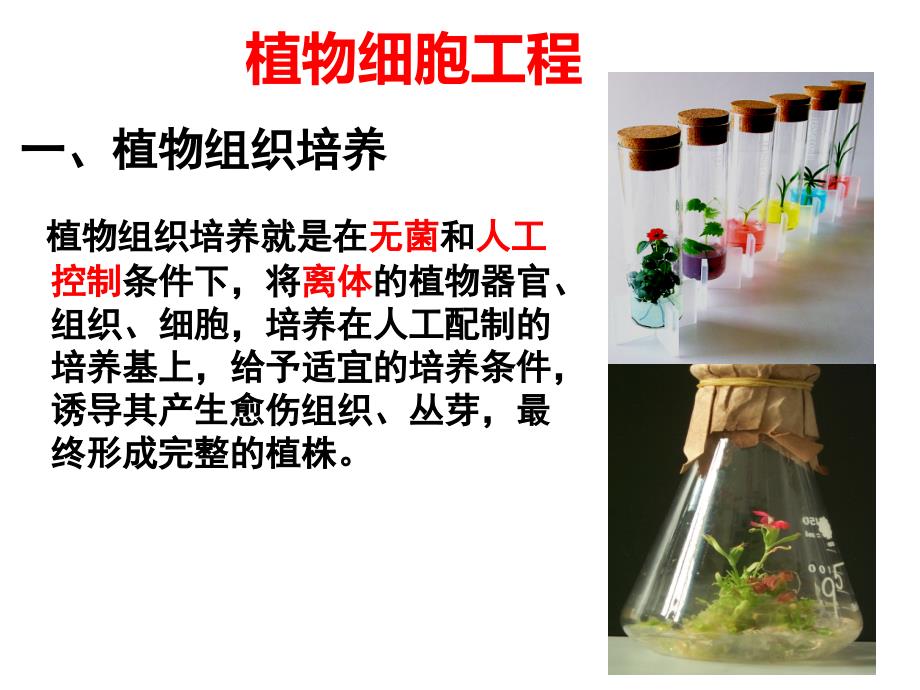 高中生物选修三 细胞工程_第3页