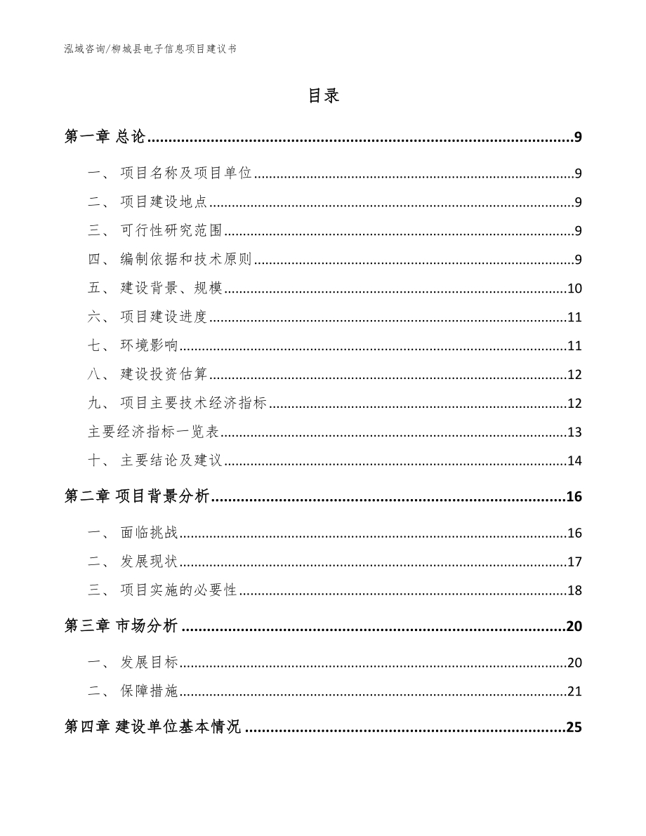 柳城县电子信息项目建议书【范文模板】_第2页