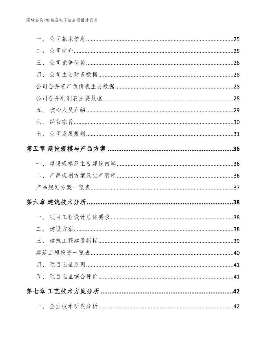 柳城县电子信息项目建议书【范文模板】_第3页