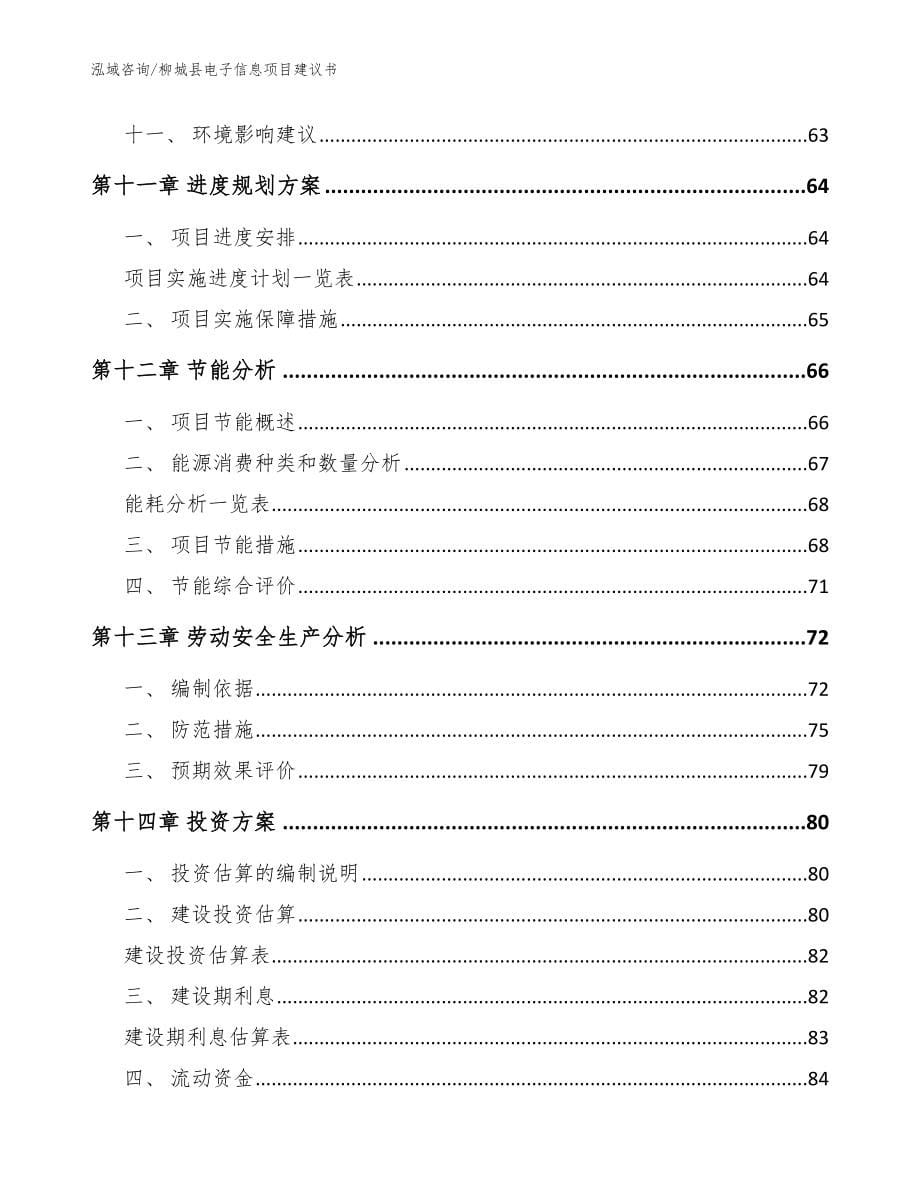 柳城县电子信息项目建议书【范文模板】_第5页