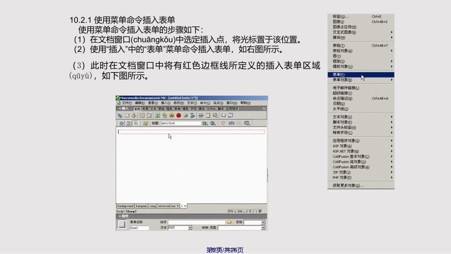 Dreamweaver中表单制作实用教案_第2页