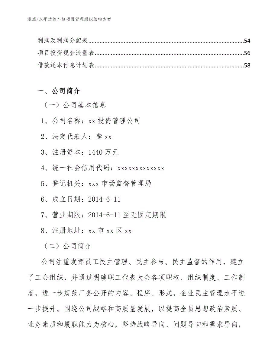 水平运输车辆项目管理组织结构方案（参考）_第2页