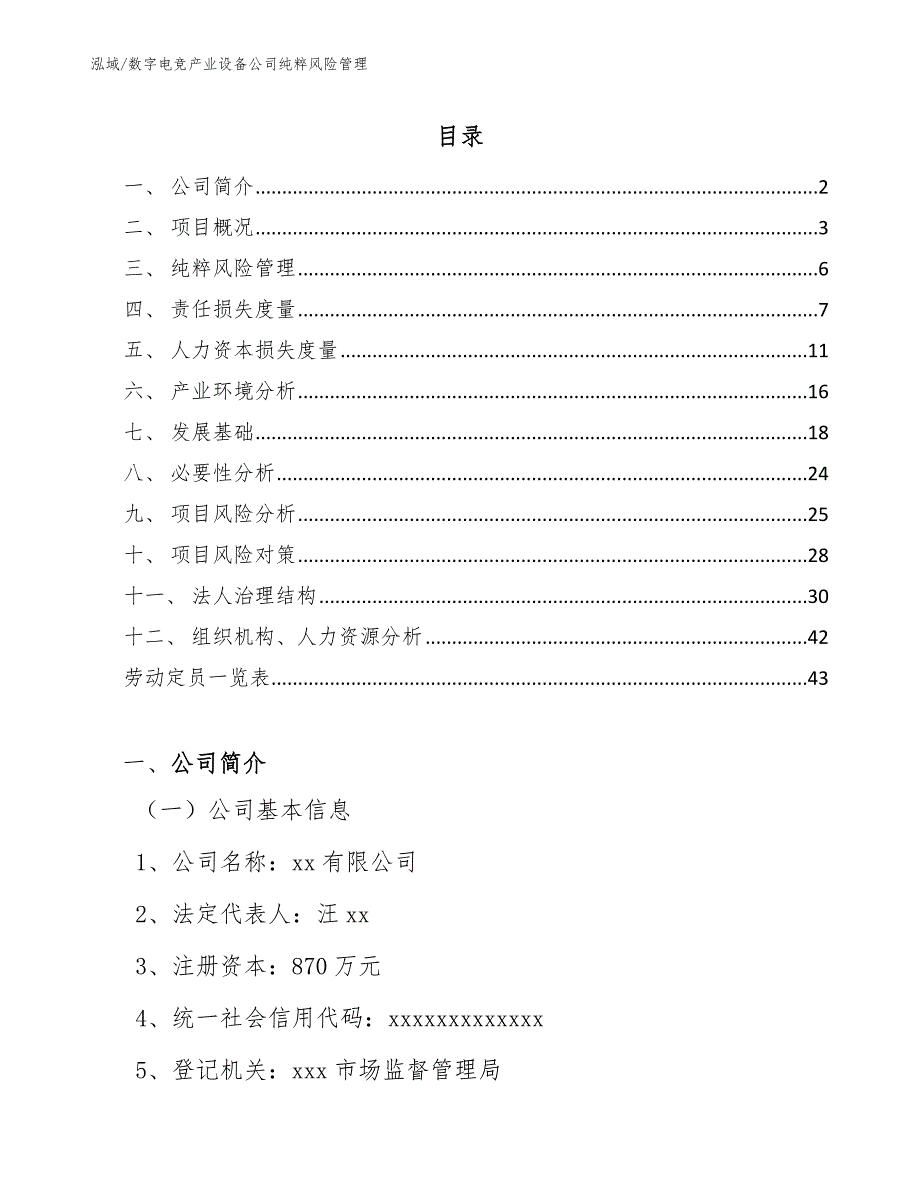 数字电竞产业设备公司纯粹风险管理【范文】_第2页