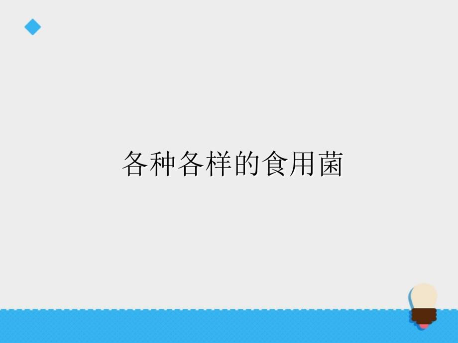 六年级上册科学课件第一单元食用菌青岛版_第4页