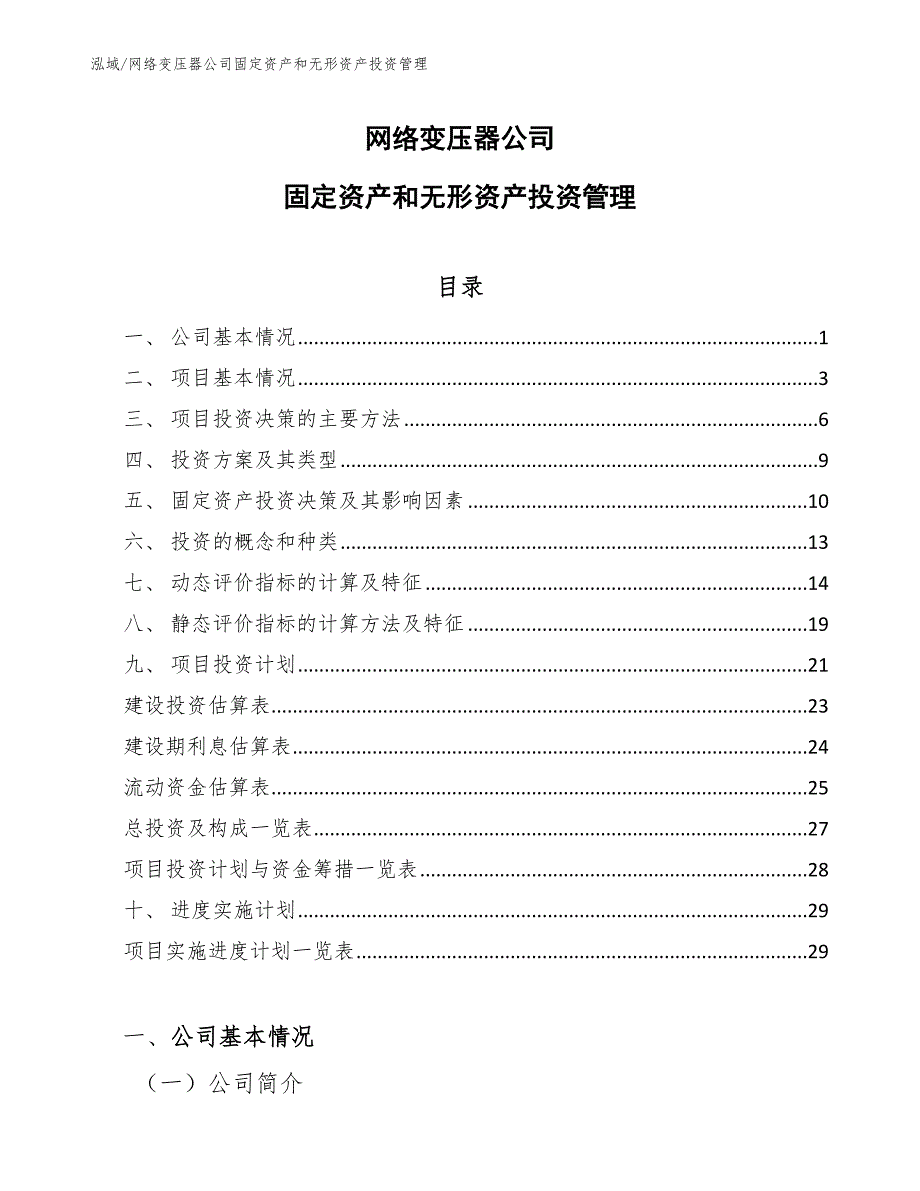 网络变压器公司固定资产和无形资产投资管理（参考）_第1页