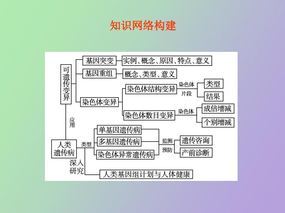 高一生物基因突变及其他变异_第3页