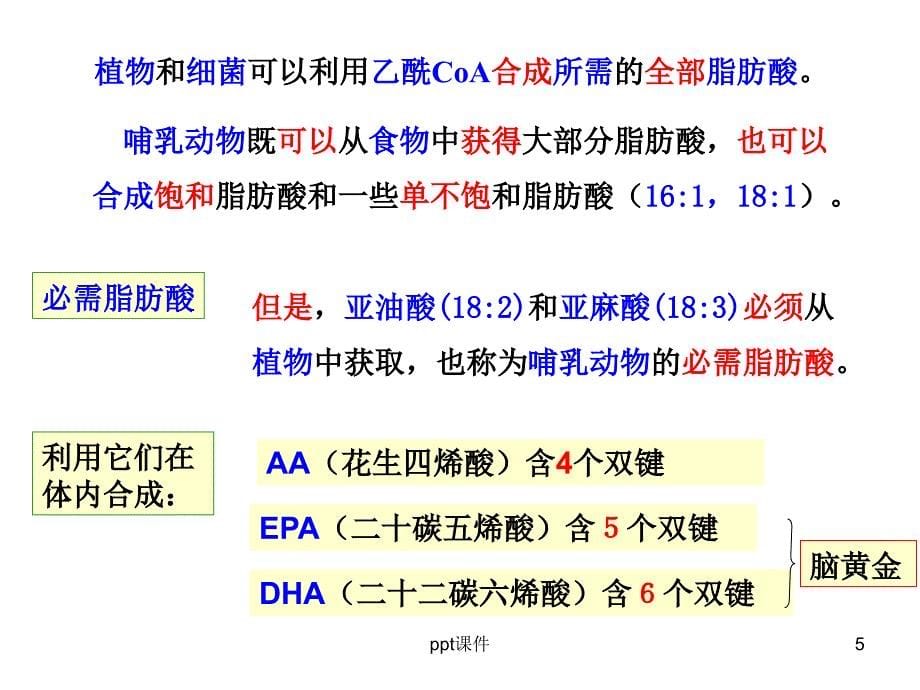 第二章脂质与生物膜课件_第5页