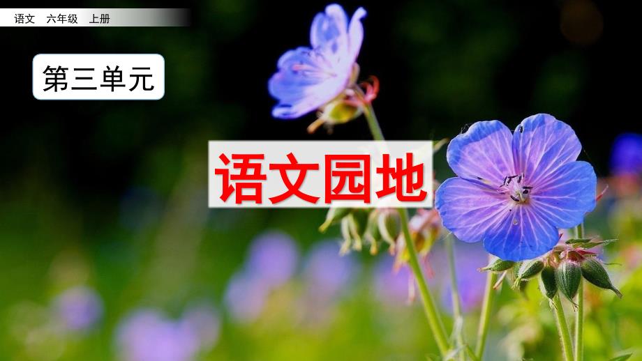 部编版六年级上语文《语文园地 三》优秀课堂教学课件_第1页