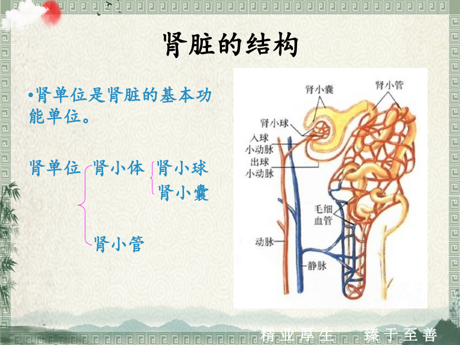 肾内科护理ppt【全套】课件_第4页