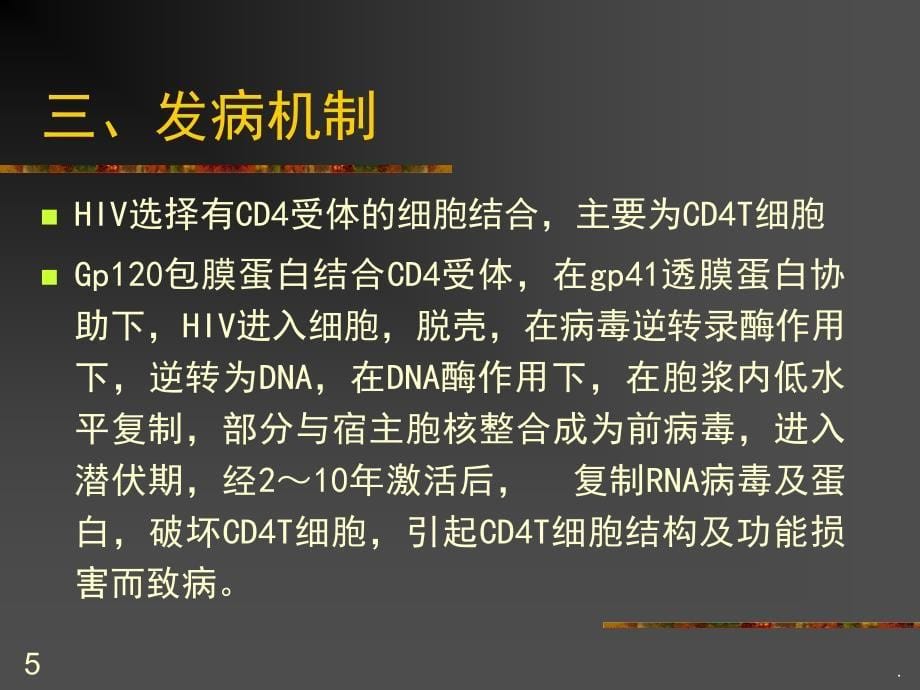 艾滋病及其皮肤表现ppt演示课件_第5页