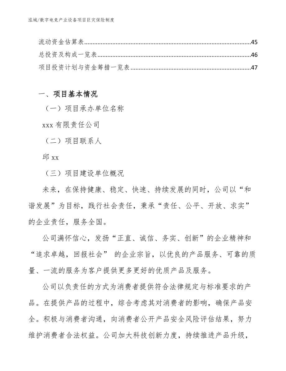 数字电竞产业设备项目巨灾保险制度（范文）_第2页