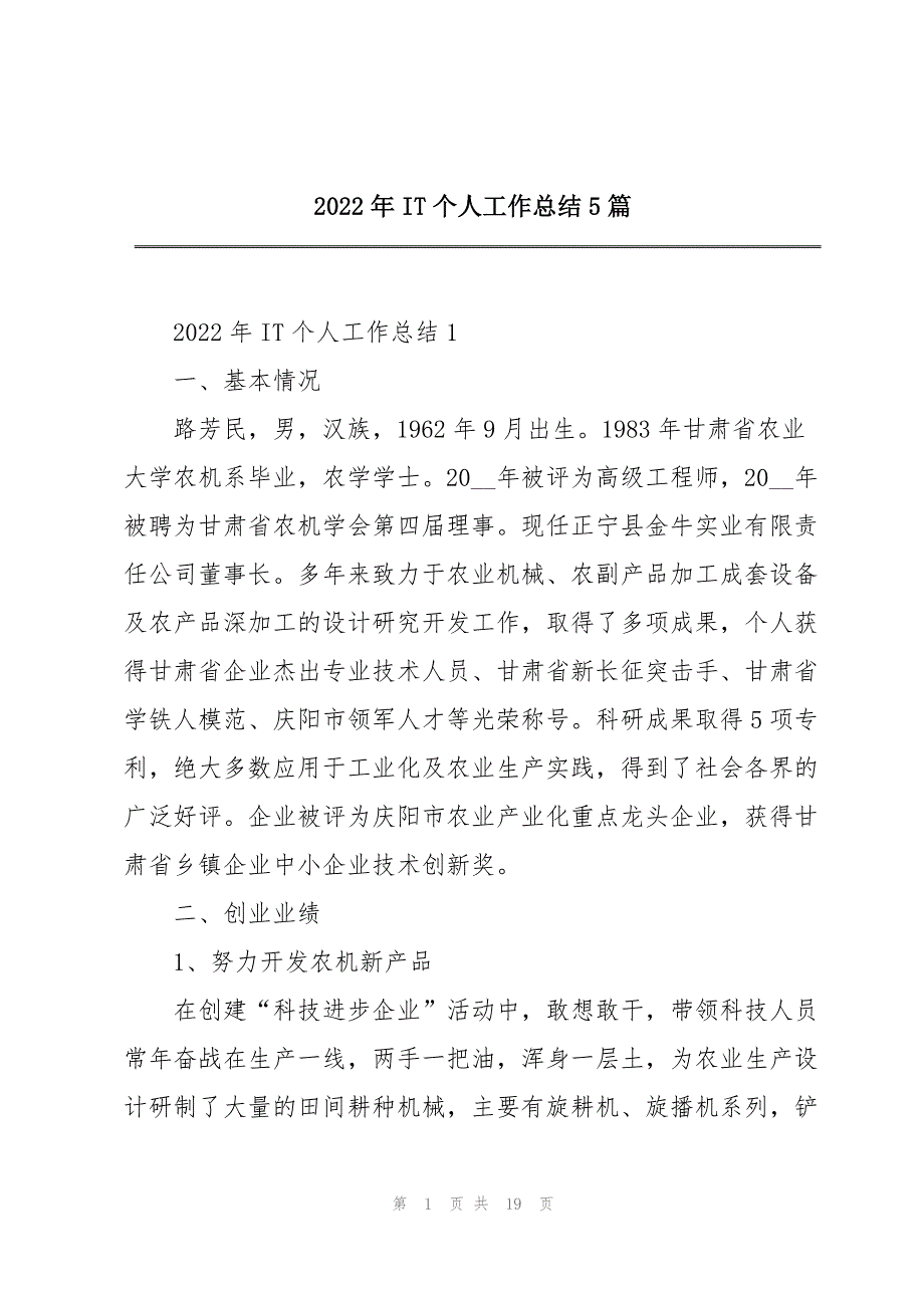 2022年IT个人工作总结5篇_第1页