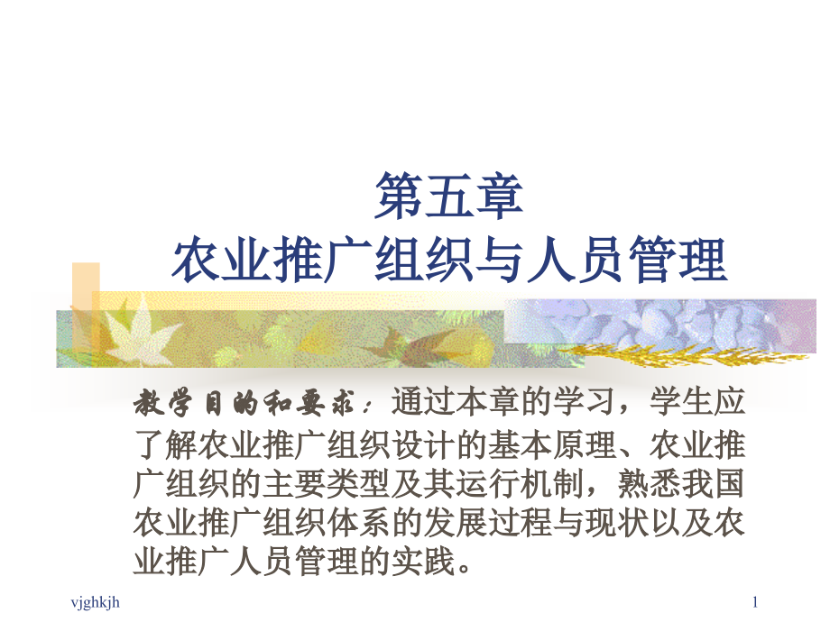 第五章农业推广组织与人员管理课件_第1页