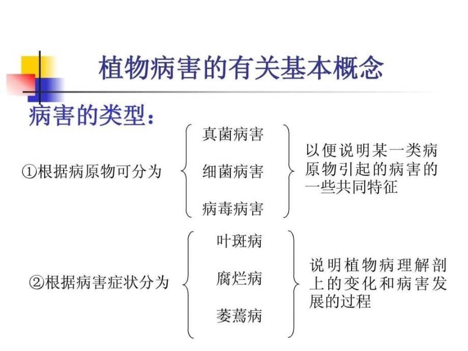 作物病害田间鉴定方法(原稿系出自黑龙江省农科植_第5页