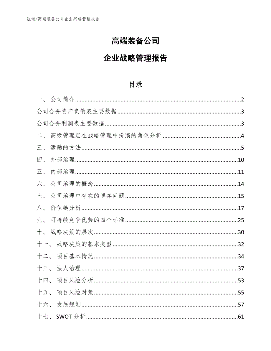 高端装备公司企业战略管理报告【范文】_第1页