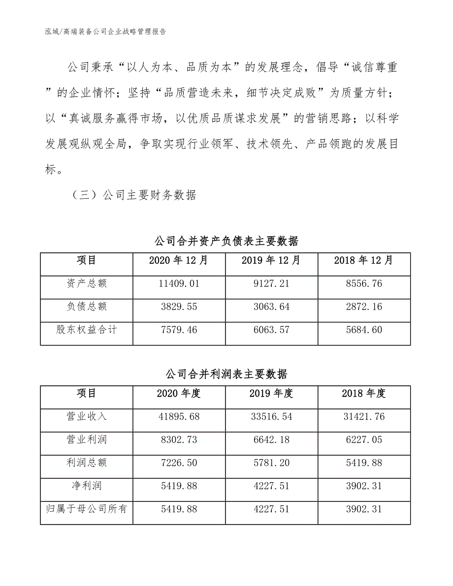 高端装备公司企业战略管理报告【范文】_第3页