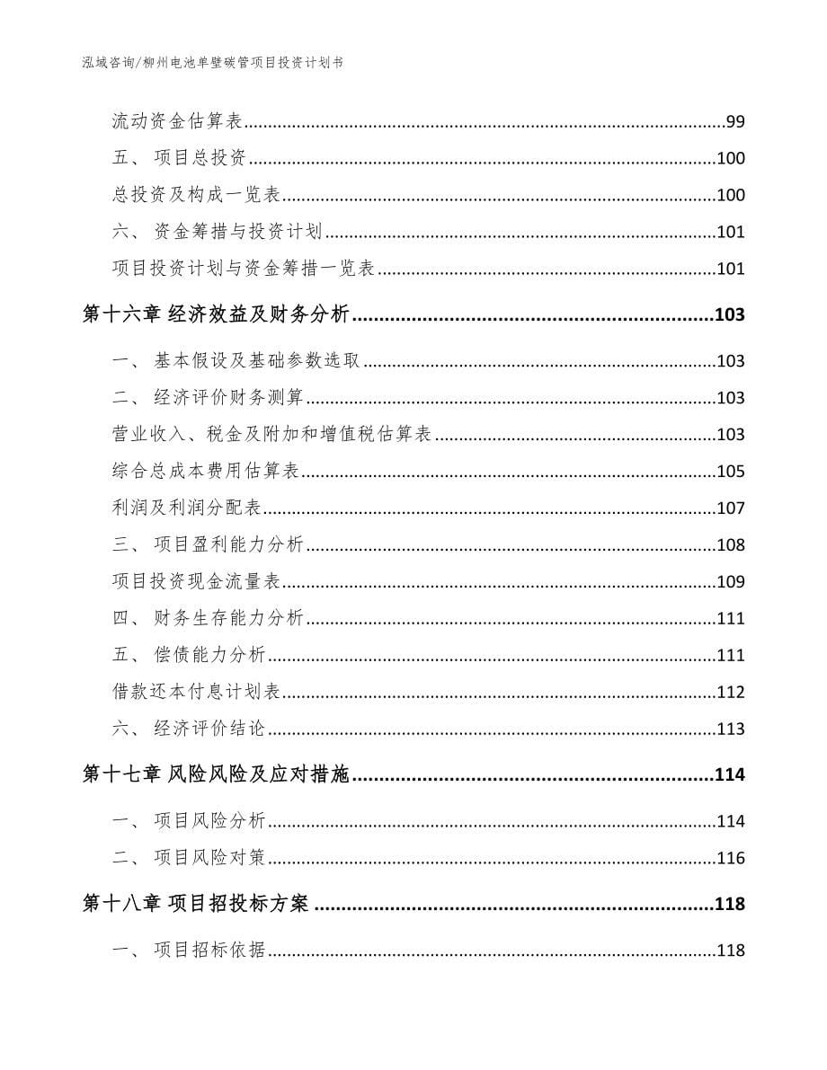 柳州电池单壁碳管项目投资计划书【模板】_第5页