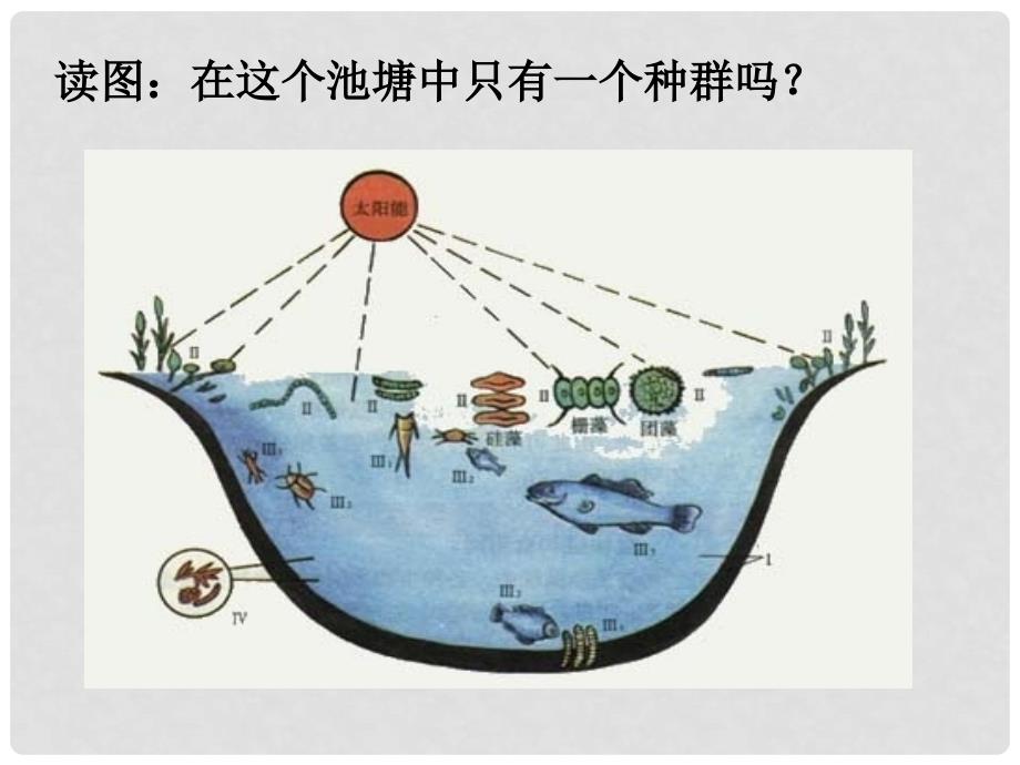 九年级科学下册 2.22.3 种群和生物群落（第2课时）课件 （新版）浙教版_第2页