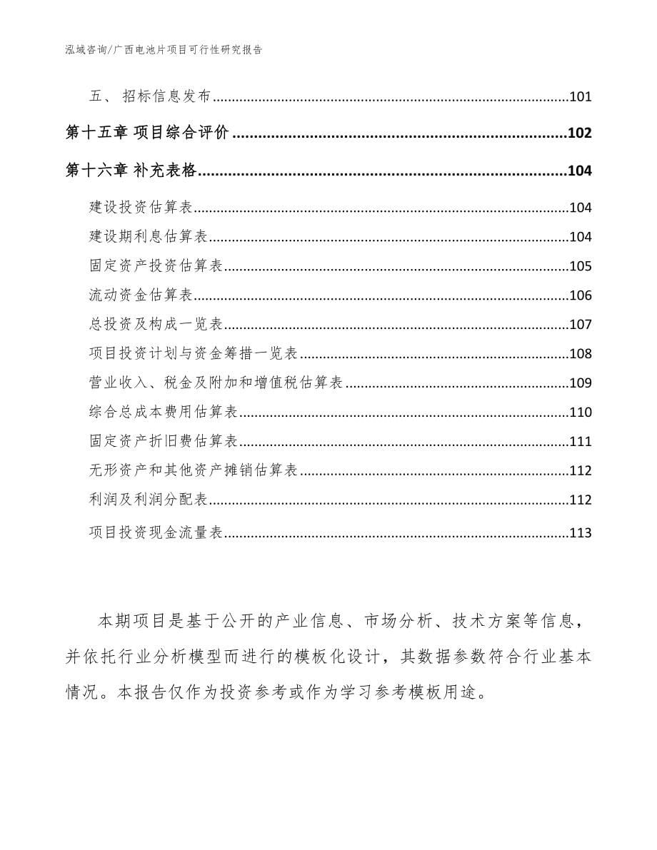 广西电池片项目可行性研究报告_第5页