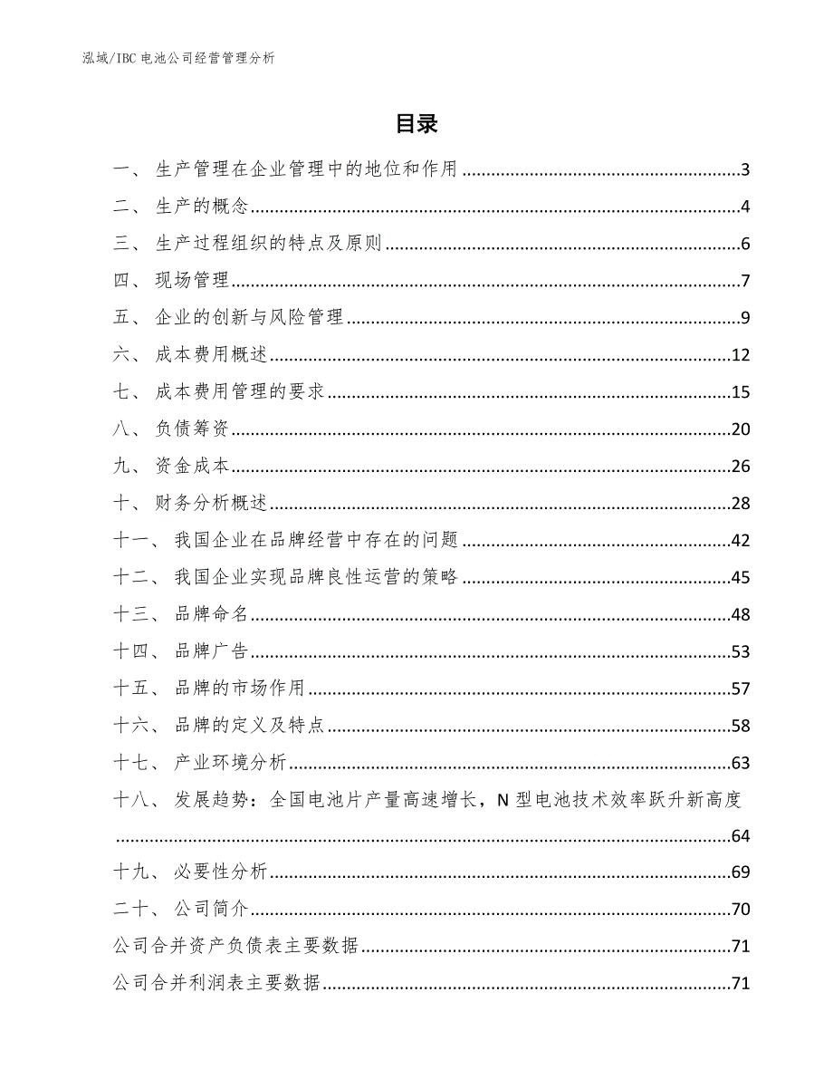 IBC电池公司经营管理分析_参考_第2页