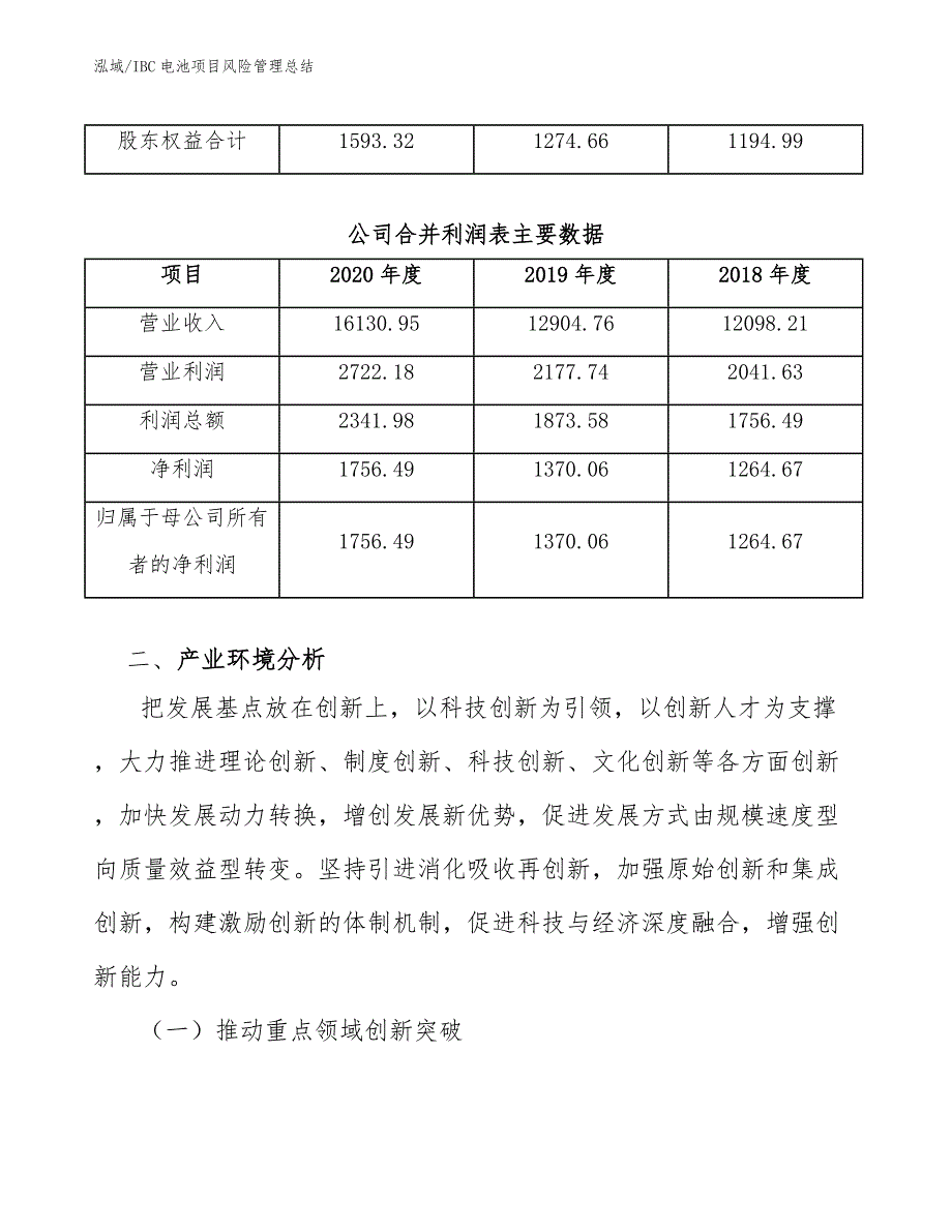 IBC电池项目风险管理总结（范文）_第4页