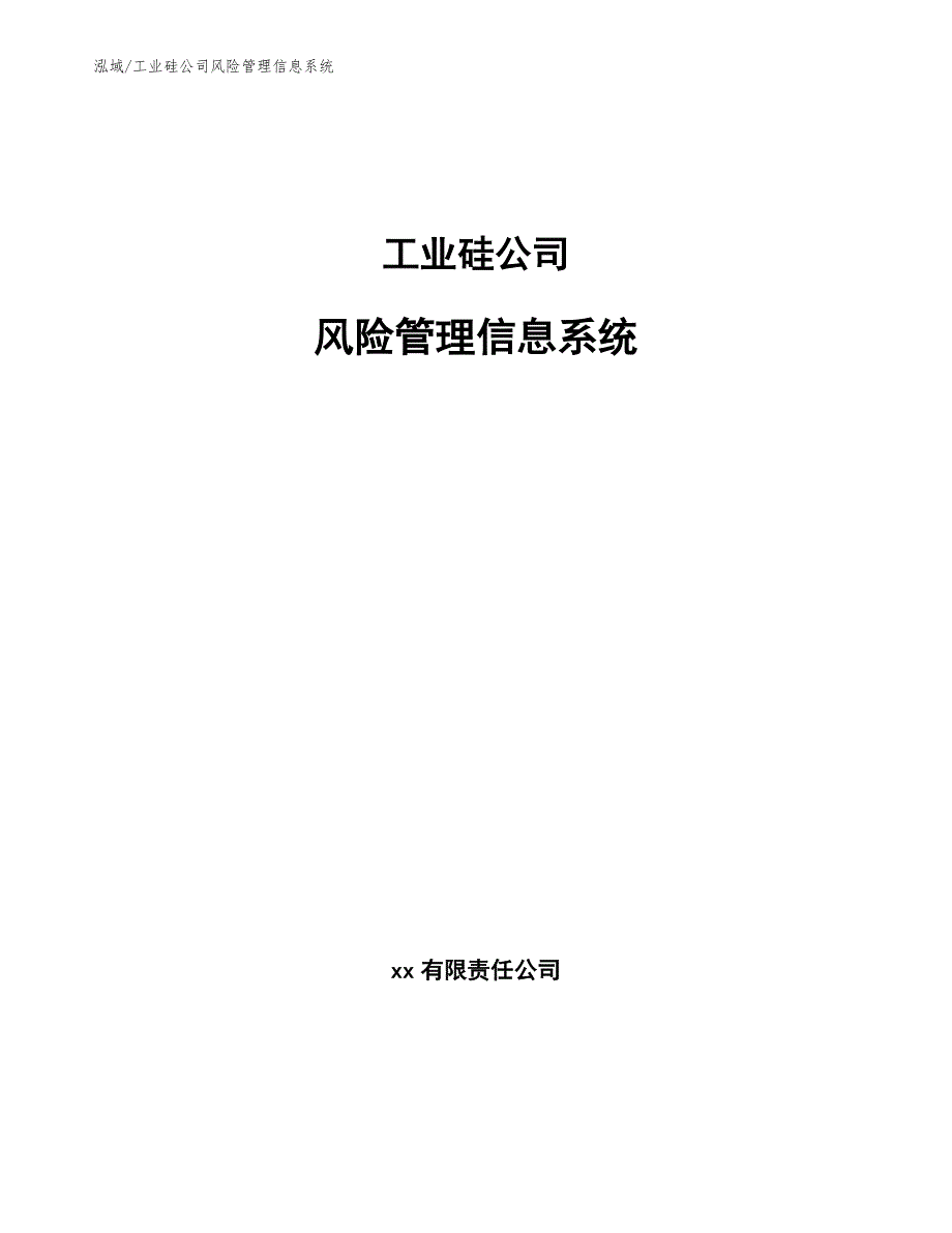 工业硅公司风险管理信息系统_范文_第1页