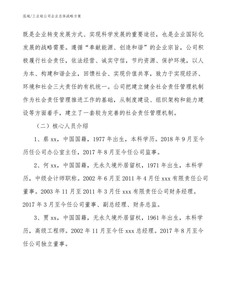 工业硅公司企业总体战略方案（范文）_第5页