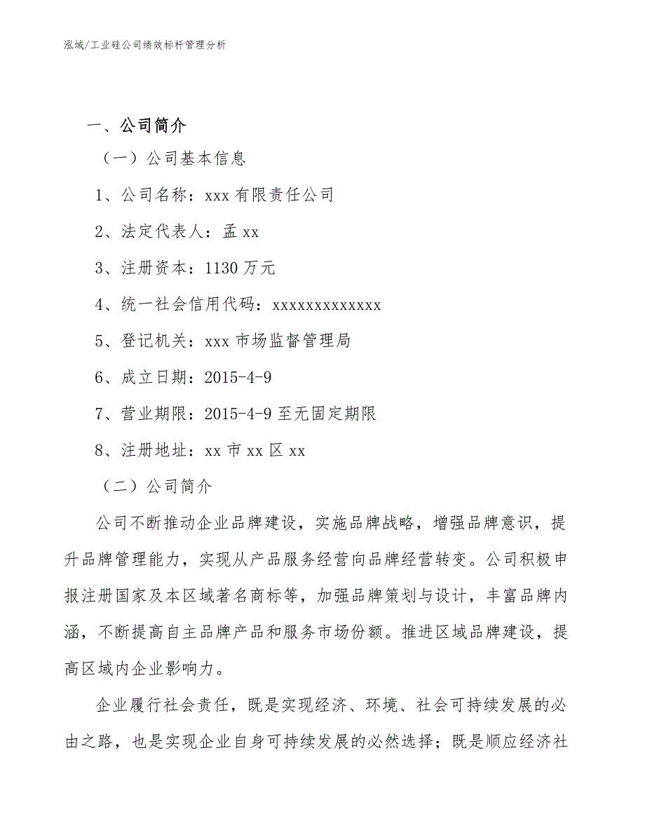 工业硅公司绩效标杆管理分析_参考_第2页