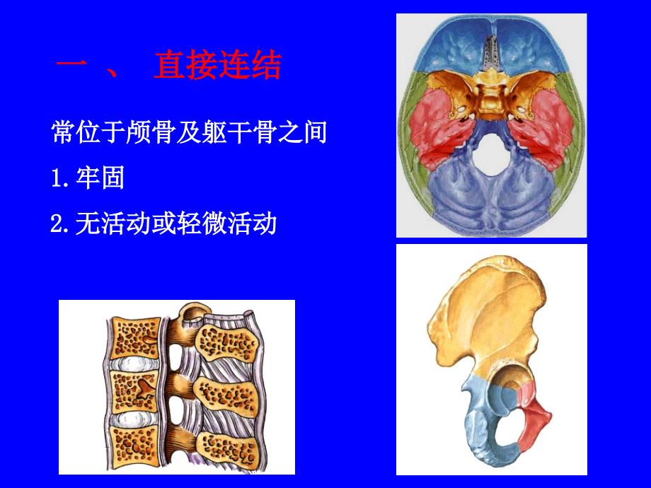 骨连接pt课件_第3页