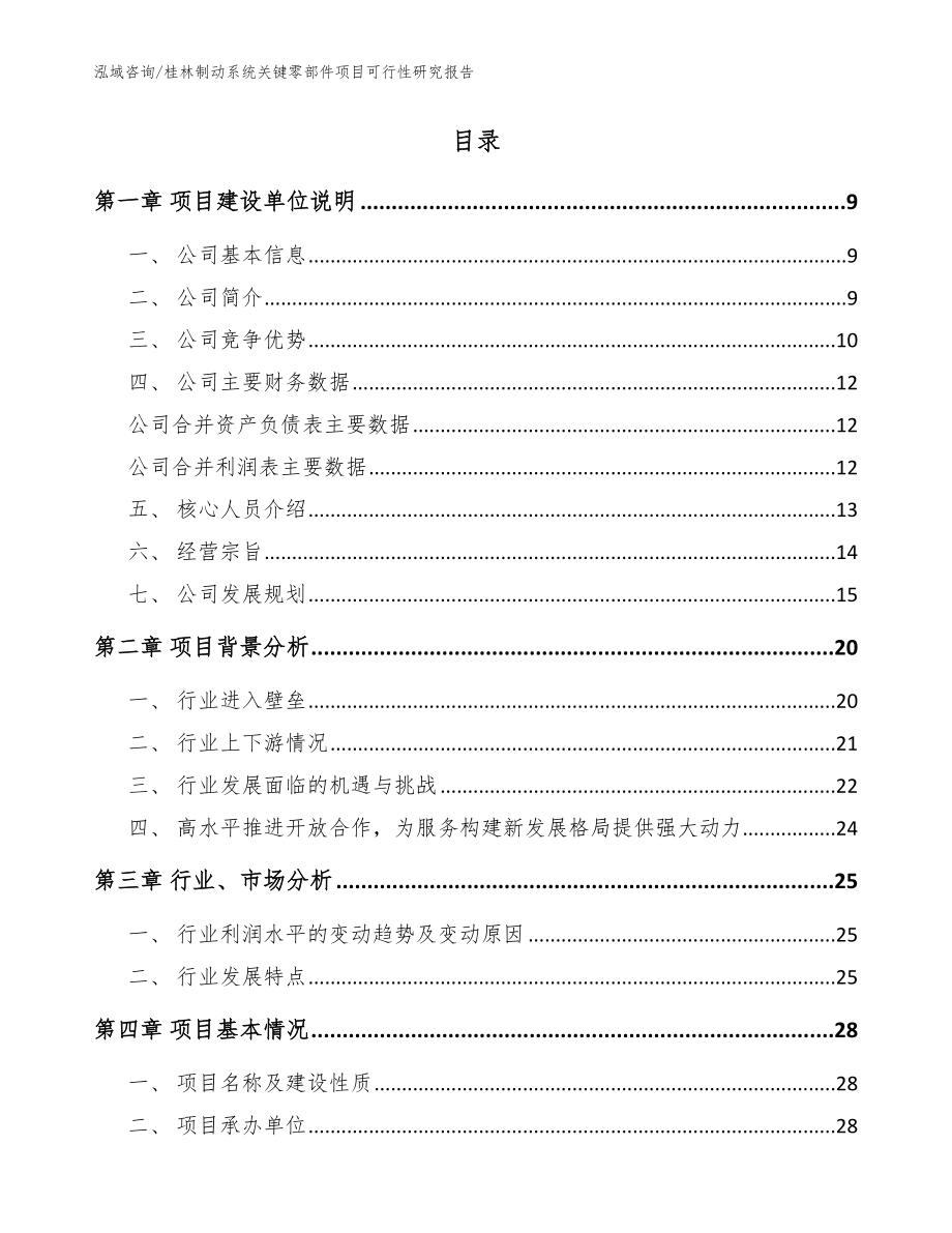 桂林制动系统关键零部件项目可行性研究报告_第2页