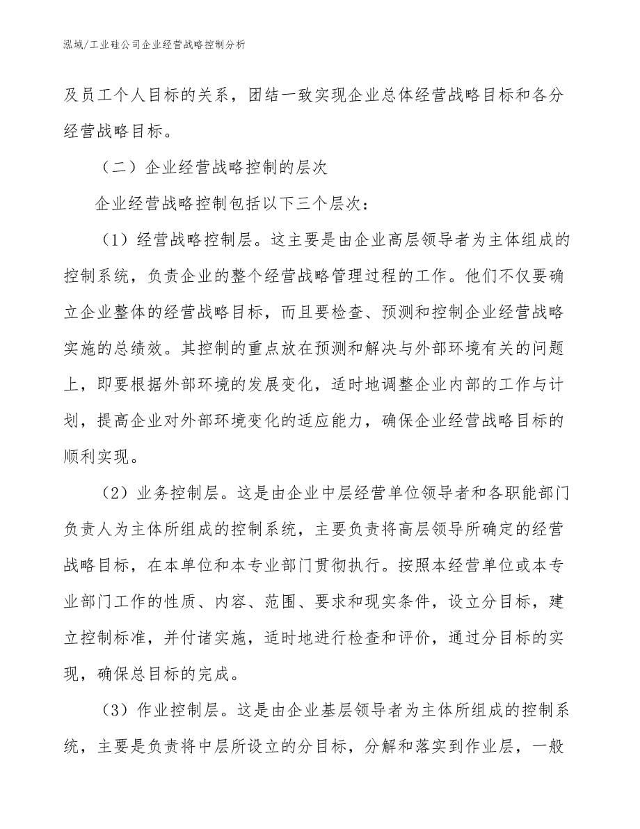 工业硅公司企业经营战略控制分析_第5页